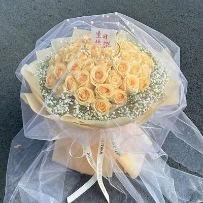 宝鸡52朵香槟玫瑰满天星，你就是我的全部